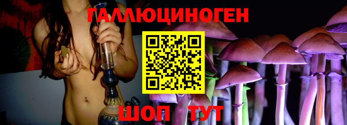 наркотики  Галлюциногенные грибы MAGIC MUSHROOMS  Вход с VPN  Киржач 